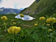 Baite di Mezzeno-Lago Branchino, festa di fiori-16giu23 - FOTOGALLERY